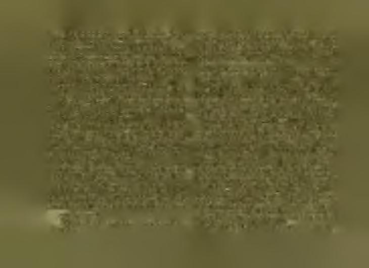 Začasté ošizen žid podvodně tím způsobem, že křesťan svěřil něco křesťanu, jenž s tím ihned běžel do Židů a prodal to. Žid pak nucen vraceti darmo.