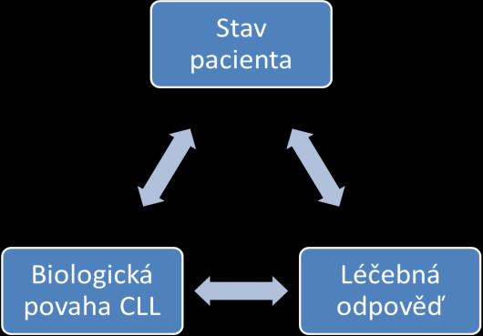 5. Prognostické faktory Prognostické faktory bývají děleny na konvenční či tradiční a nové, někdy označované jako biologické.