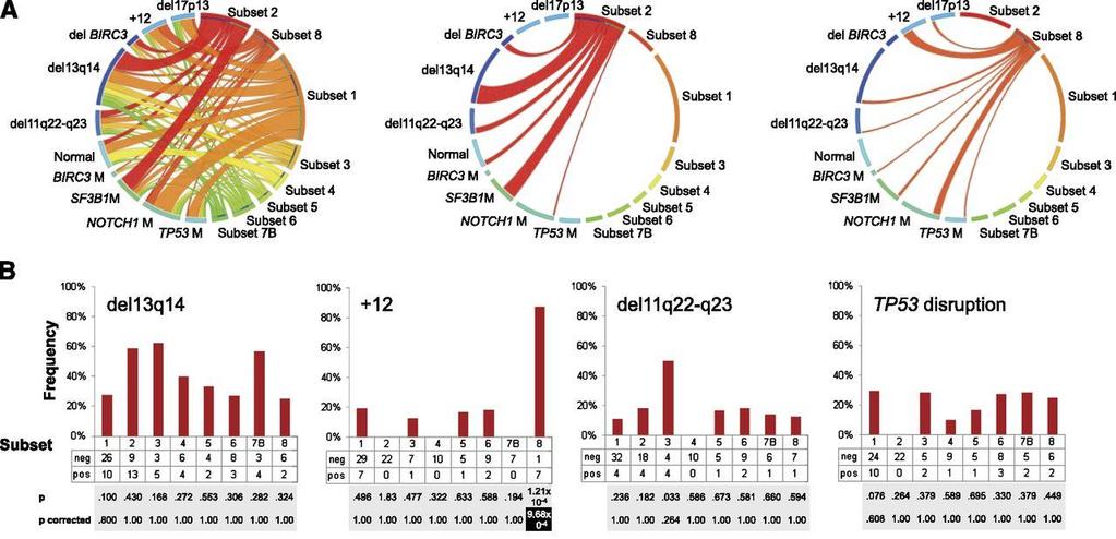 U subgenu IGHV3-21 se stereotypní vazbou, dříve označovanou jako Skandinávský receptor, byl popsán kratší TFS, ale stejné OS ve srovnání s pacienty bez tohoto receptoru.