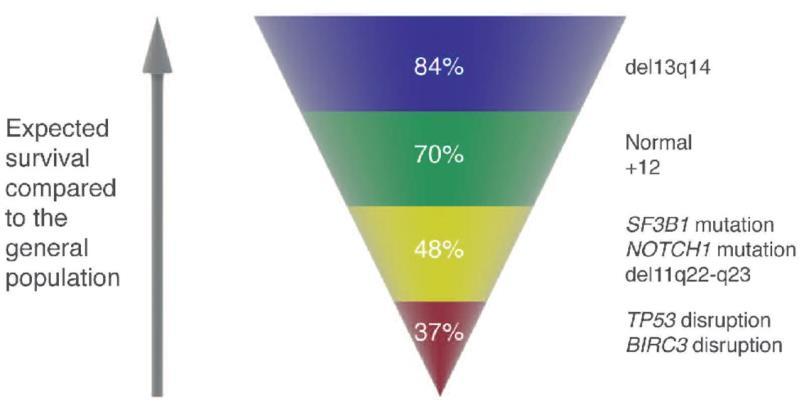 Obrázek 17: Přežití pacientů při integraci mutací do cytogenetického modelu ve srovnání s běžnou populací (Foà a kol, 2013)