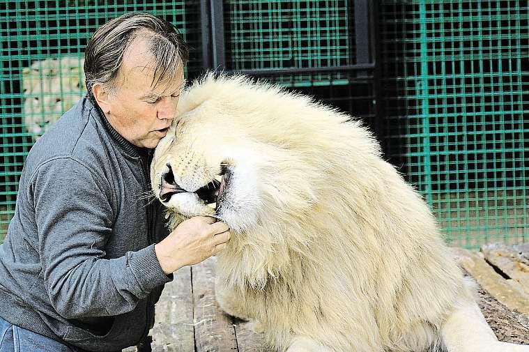 2 28. července 2017 Českolipsko Mé šelmy snědí čtyři tuny masa Největší chovatel bílých tygrů včesku, provozovatel minizoo vdoksech Ludvík Berousek má ze zvířat respekt.