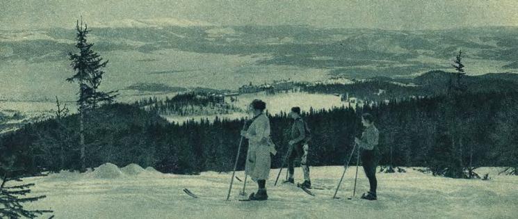 panorámu Nízkych Tatier, ale aj jazera.