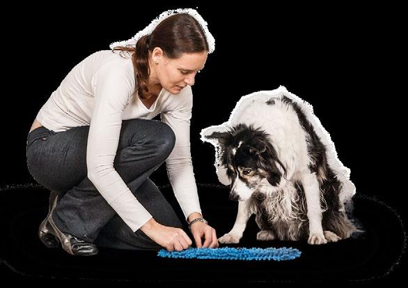 1 Výdrž vsedě nacvičte v nějaké tréninkové lekci: Psu hlavolam ukažte. Stůjte, seďte nebo klečte vždy tak, abyste psovi nebránili ve výhledu na hlavolam.