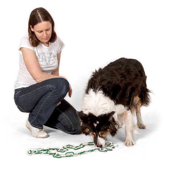 Jak na to Začněte tím, co je pro psa nejdůležitější - pamlsky. Do plastového řetězu můžete použít jakékoliv. Lepší jsou ty spíše sušší, které se nelepí.