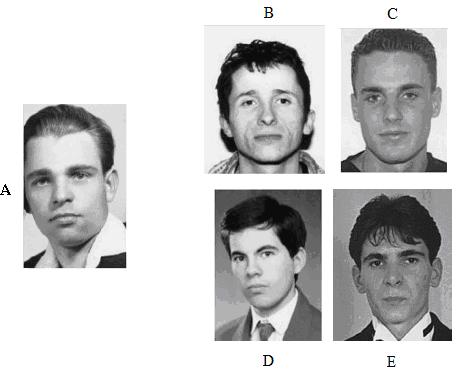 Následující obrázek znázorňuje postup hodnocení podobnosti ve studii Bereczkeiho a kolegů (2004).