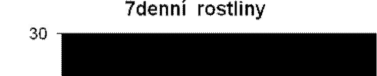a) b) c) 7denní rostliny na MS bez