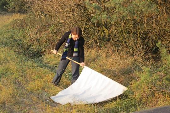 Vlajkování (tick dragging) standardní
