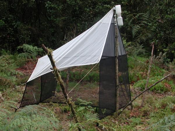 Malaiseho past (Malaise trap) podle René E.