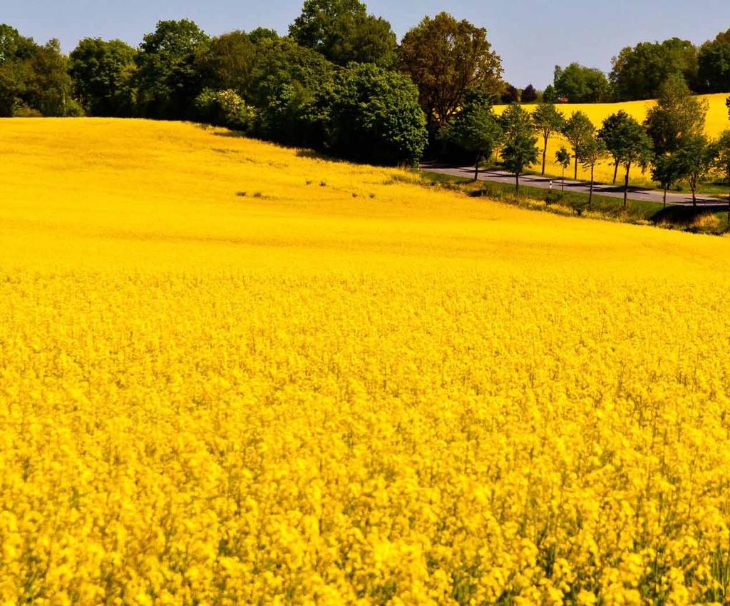 Ovlivňování médií V červnu 2013, krátce poté, co Agrofert uskutečnil akvizici vydavatelského domu Mafra, Andrej Babiš na tiskové konferenci deklaroval: Já můžu tady veřejně prohlásit na zdraví mojich