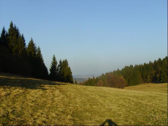 Máj S lniečko už od rána žiari, každého na srdiečku páli. Deti s výkrikom šantia v rybníčku s rybkami.