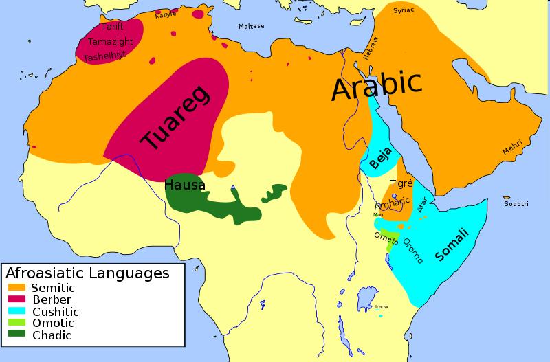 Afroázijská jazyková rodina do 400 jazykov 5 (6) hlavných vetiev: semitské niekedy sa osobitne vyčleňuje egyptská vetva najmä Arabčina (200 mil.) a Amharčina (27 mil.