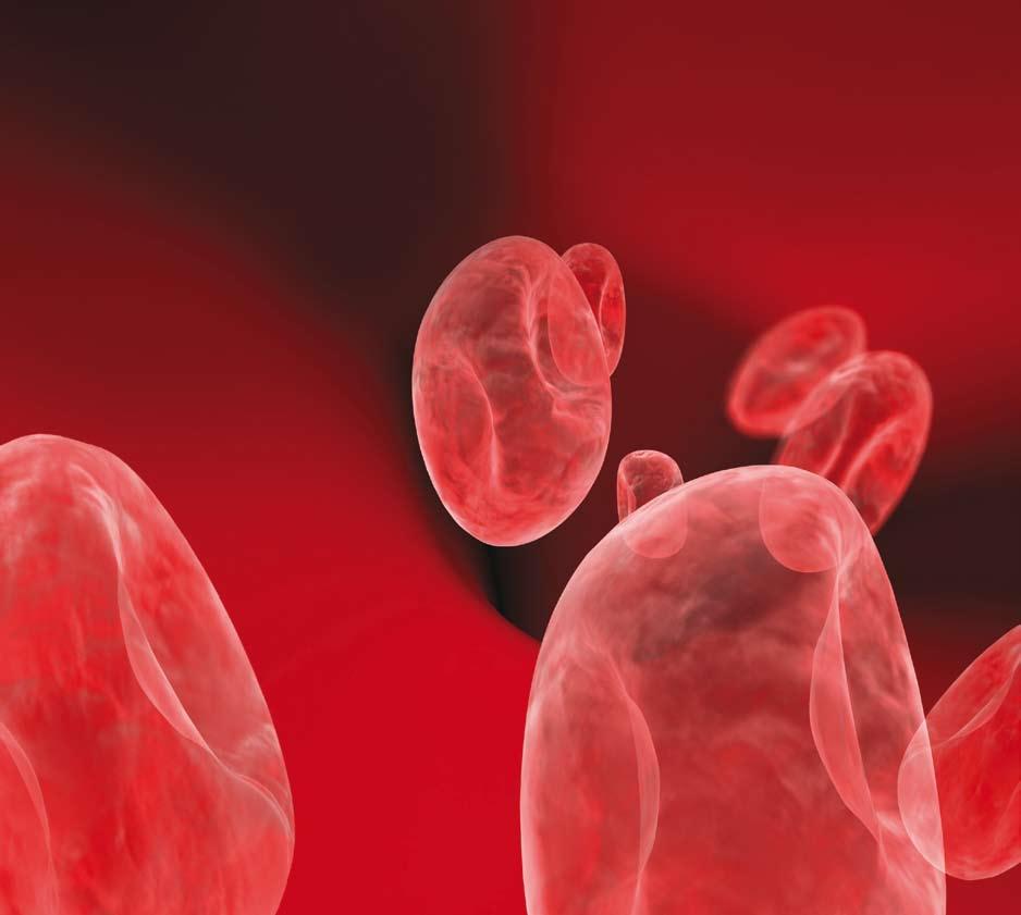 POKROK V DIAGNOSTICE DEFICITU VITAMINU B12 NOVÁ GENERACE TESTOVÁNÍ VITAMINU B12 Active B 12 1 70 90 % 10 30 % APAA-8N9E6T Populace s rizikem defi citu vitaminu B12: Senioři Těhotné ženy Vegetariáni