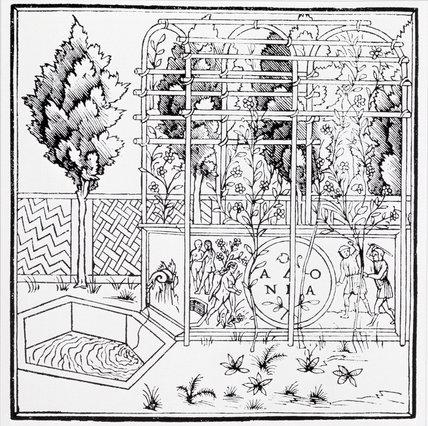 Francesco Colonna (1432/33 1527), Hypnerotomachi a Poliphili, zahradní scéna,