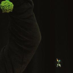 Vlašimská z kyjského kulturáku.