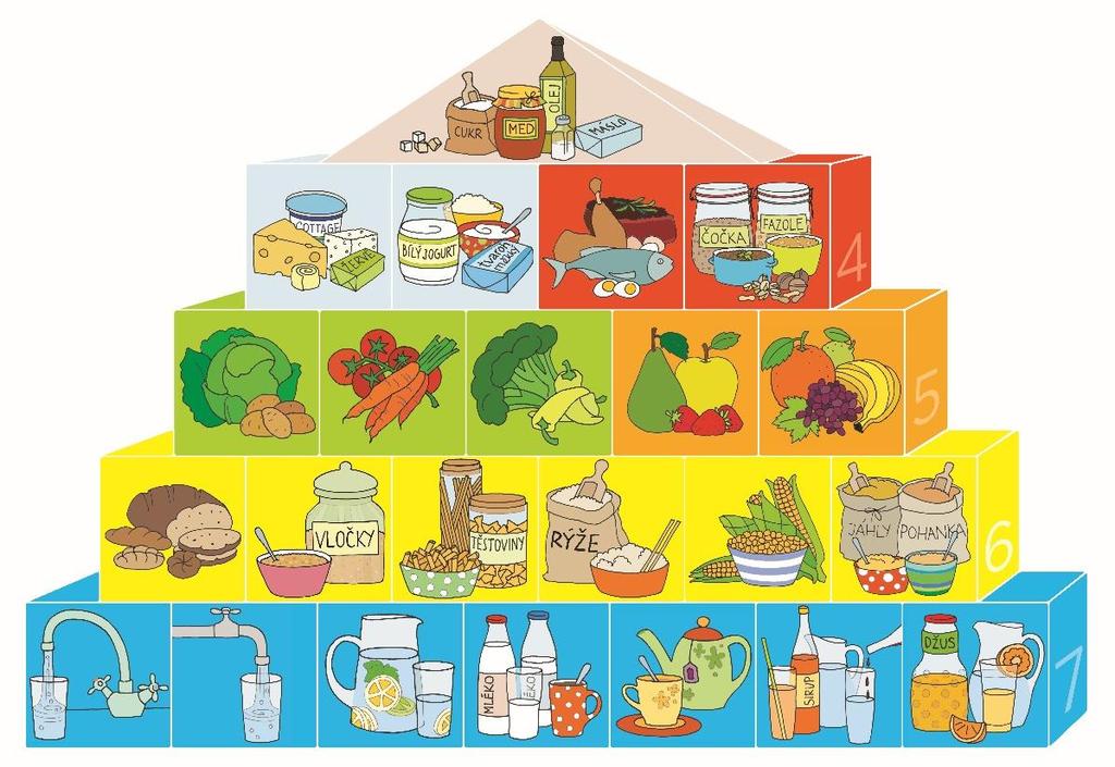 Pyramida výživy pro