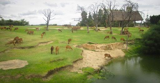 Zahraniční kontakty Foreign Contacts Vedoucí útvaru zahraničních styků organizačního úseku Zoo Brno doc. MVDr. Jiří Klimeš, CSc., se 7. až 12. 3.