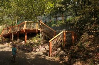 Lávka k vyhlídce do výběhu paviánů anubi Footbridge at the prospect to the olive baboon enclosure 48 zpět Nové expozice Brněnská zoo během roku 2016 otevřela novou expozici paviánů anubi a zahájila