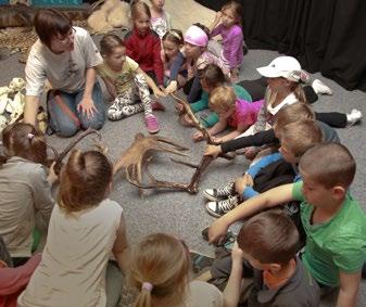 Vzdělávací úsek Educational Department Brněnská zoologická zahrada se v roce 2016 stala školským zařízením.