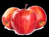 ZELENINA