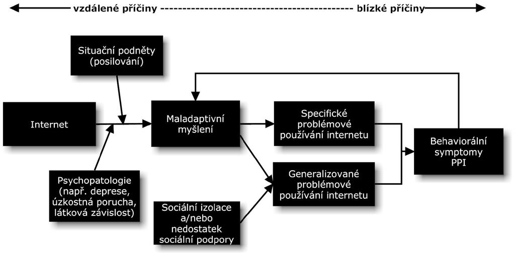 Obr. 1. Kognitivně-behaviorální model problémového používání internetu (Davis, 2001). 5.3. Interpersonální teorie Tento přístup vychází z interpersonální teorie H. S.