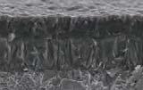 Indicato per lavorazioni ISO K sia in condizioni di taglio continuo che interrotto. Micro grain carbide with high toughness and thick MT-CVD (TiCN+Al 2 O 3 ) coating.