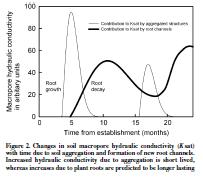 C. J. A. Macleod, A. Binley, S.L. Hawkins, M.W. Humphreys, L.B. Turner, W.R. Whalley and P.M. Haygarth, 2007: Genetically modified hydrographs: what can grass genetics do for temperate catchment hydrology?