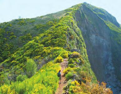 Pobřeží je rovněž vesměs velmi strmé, s kolmými stěnami do moře až přes 500 m, další výzvou pro turisty jsou cesty podél zavlažovacích kanálů, tzv. levád.
