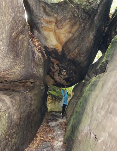 Krátký přejezd, dominanta stolové hory Lilienstein (+415 m): kruhový výhled na meandr obtékajícího Labe (+87 m), k dispozici restaurace. Odjezd, návrat do Prahy do 22.hod. so 2.6.