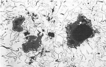 Obr.6.