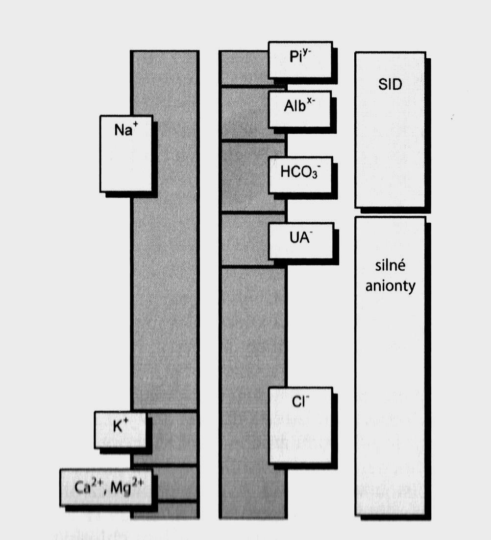 SID strong ion difference SID = [Na + ]+[K + ]+[Ca ++ ]+[Mg ++ ]-[Cl - ]-[UA - ] SID eff = [HCO 3- ]+[Alb x-