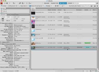 Metadata souborů lze v Creative Suite nastavovat prostřednictvím šablon Bridge umožňuje s metadaty jednotlivých zdrojů rozmanitým způsobem manipulovat i prostřednictvím panelu Metadata, jehož vzhled