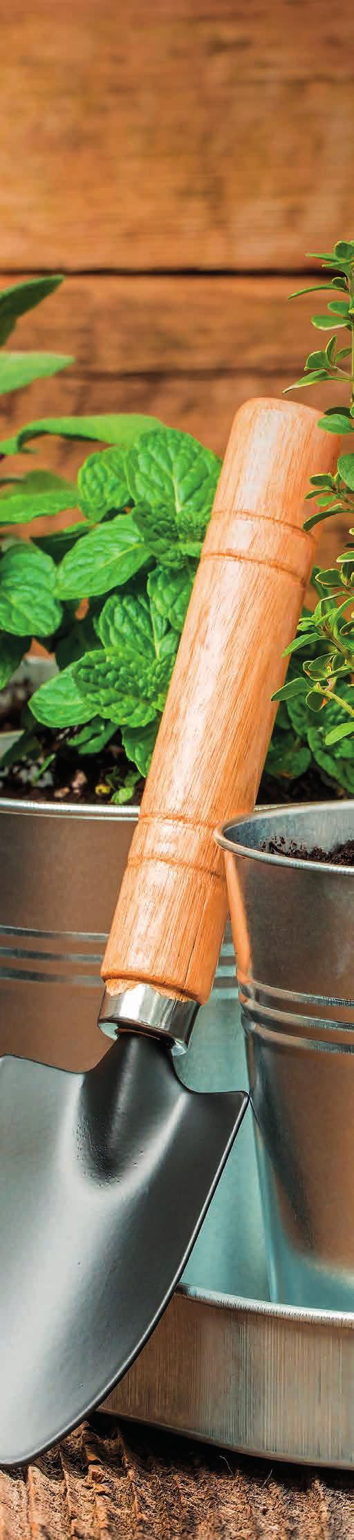 Produkty měsíce března Budeme jako na houpačce: chladný a vlhký počátek měsíce, oteplení, kolem 15. dne protivný chlad a možná i mráz Ovšem kolem 20.