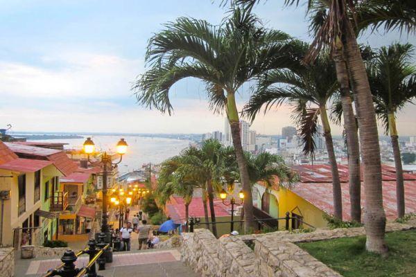 Cuenca - národní park Cajas - Guayaquil Po snídaní se vydáme do Guyaquilu. Cesta vede přes národní park El Cajas. Park se nachází v majestátním pohoří And ve výšce 3200 4500 m.n.m a může se pochlubit množstvím impozantních skalních útvarů a mnohými druhy rostlin a živočichů včetně zvláštního druhu stromu rodu Polylepis.