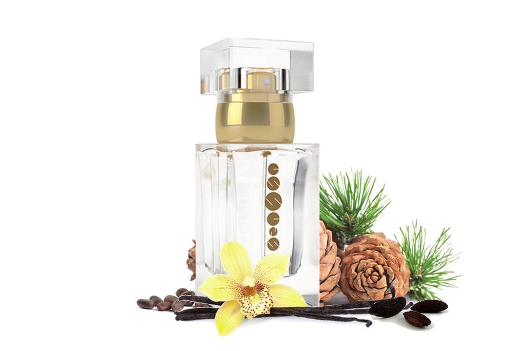 cedrové dřevo, cukr 15 ml, 50 ml, Shower Gel, Body Balm 15 ml, 50 ml, Body Mist, Shower Gel, Body Balm Hlava: