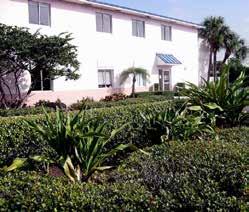 Škola LAL sídlí v areálu La Quinta Inn rezidence, ve které zároveň poskytuje ubytování svým studentům. Jedná se o komfortně zařízený a bezpečný kampus, který nabízí všestranné využití volného času.