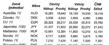 měny v MN vztazích: cizinci mají přístup k národní měně a domácí subjekty mají přístup k cizím měnám mezinárodní trh peněz (střet poptávky a nabídky po