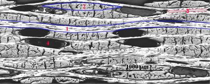 které geometrické parametry měřit jak tato data zapracovat do strukturních modelů jak je využít pro popis vztahu mezi technologií výroby, vlastnostmi materiálu a jeho strukturou Řešení těchto otázek