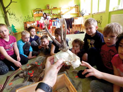 uvnitř 3 hod. 30 Kč celoročně Základní škola I. stupeň Po stopách lesní zvěře I. Vzdělávací oblast: Člověk a jeho svět Cíl programu: porozumět pojmu pobytová znamení.