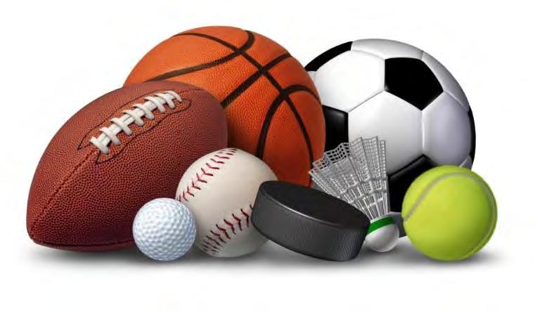 Připravíme pro vás turnaje, jednotlivé zápasy, nebo tréninkové jednotky ve všech níže uvedených sportech.