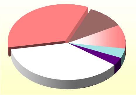 20 Nelegální migrace Nelegální migrace na území ČR dle kategorií v meziročním srovnání 2010 2011 Meziroční změna tj. % tj.