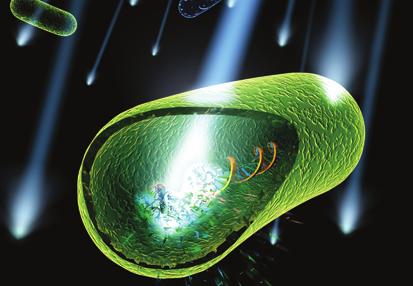 Působení ultraﬁalového záření (UV) v rozmezí 200-300nm na biologické organismy : - UV záření způsobuje zesítění šroubovice DNA a Ym zabraňuje množení. Okamžitý mechanismus?