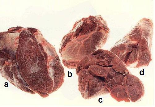 Hovězí přední: a) plec b) plec loupaná c) falešná svíčková d) kližka přední Dělení do jakostních tříd z kuchařského hlediska I.