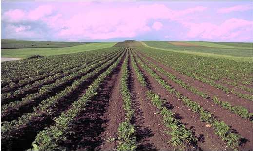 - stabilní organické hnojivo C : N 30 : 1 Komplexní opatření k ochraně půdy proč půdy potřebují organickou hmotu Regionální využití kompostu princip blízkosti Zdroj
