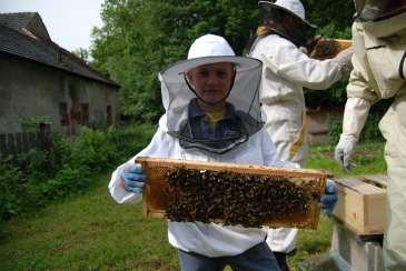 Převážení včelstev brzy z rána, kdy včelky ještě nelétají. Toto období je ideální i pro výuku nových malých včelařů.