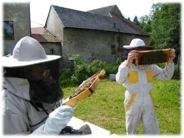 První prolety včelky využívají k vykálení se.