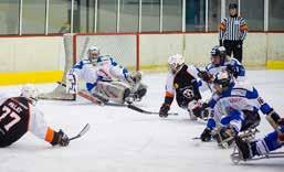 BERANI NASTOUPÍ PROTI OCELÁŘŮM VE SVĚTLÉ VARIANTĚ DRESŮ Extraligoví hokejisté Aukro Berani Zlín odehrají domácí utkání 9. kola Tipsport extraligy s týmem HC Oceláři Třinec (neděle 1.