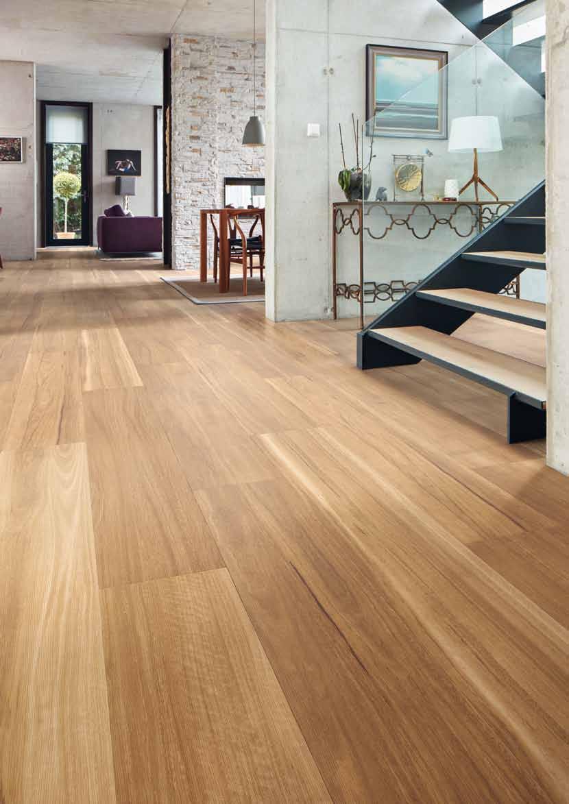 LLP317 Lemon Spotted Gum!