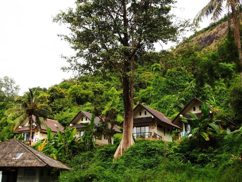 Bungalovy Národního