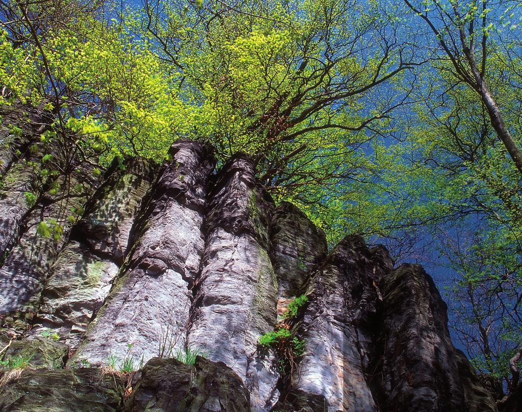 ROAN-BUTANOVÉ