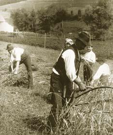 Jiné panství jiná krajina Hranice původních panství zakreslené do mapy současných lesních ploch jasně ukazují, jak se v krajině projevil hospodářský vývoj jednotlivých panství (pozdějších